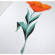 Load image into Gallery viewer, “Poppy” 5x7 original painting