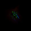 Load image into Gallery viewer, Neon Tools Of The Trade Enamel Pin